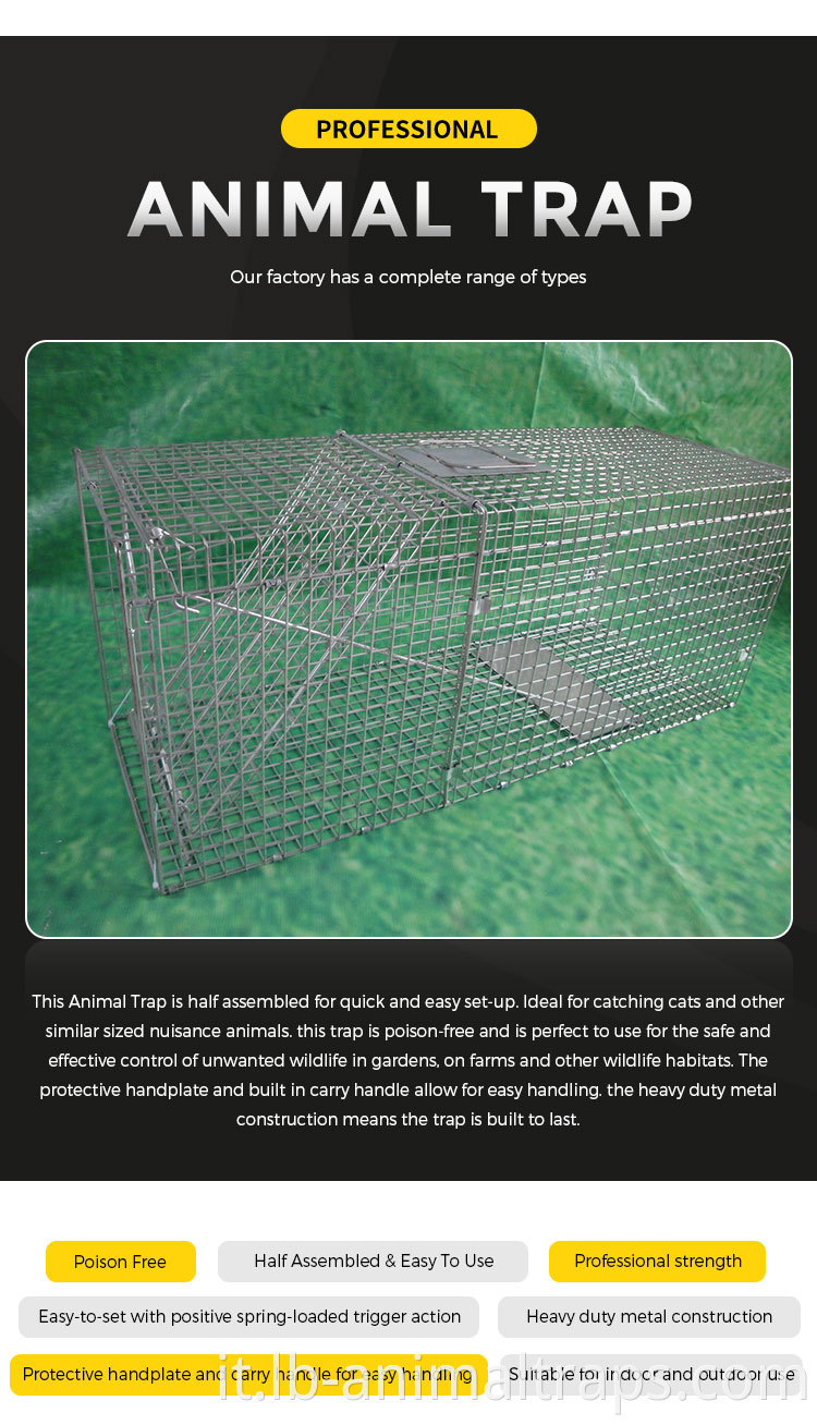 Chipmunk Cage Traps